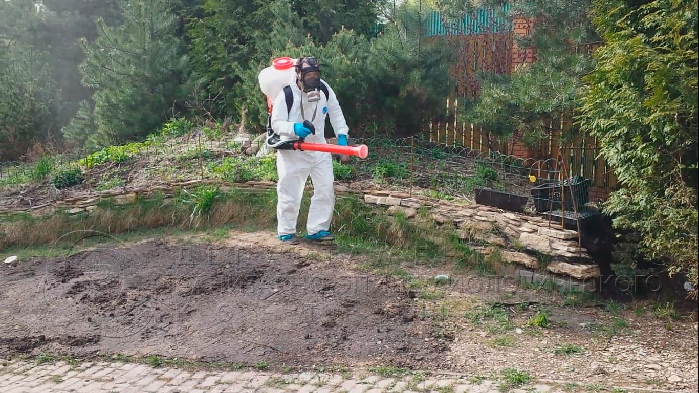 Уничтожение клещей на участке в Пушкино